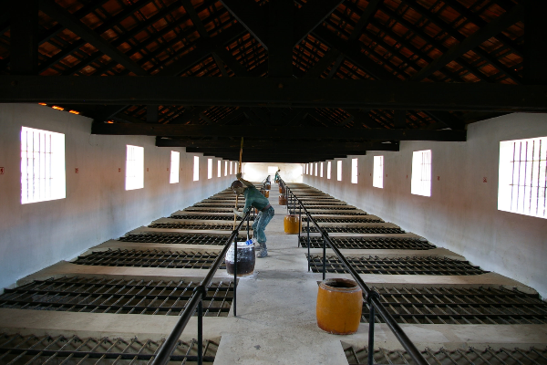 Discover The Hell on Earth in Con Dao - photo 5